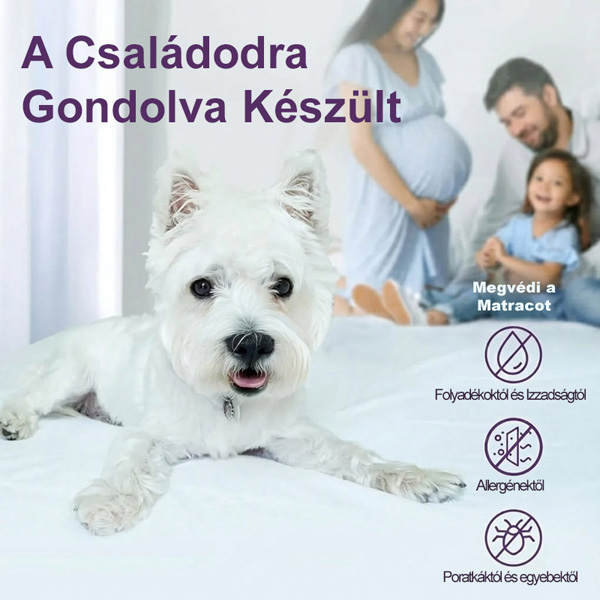 CLOUDREAM-3831127613059-HU-5__301225